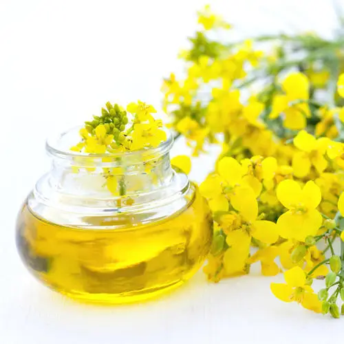 
Rapeseed oil 