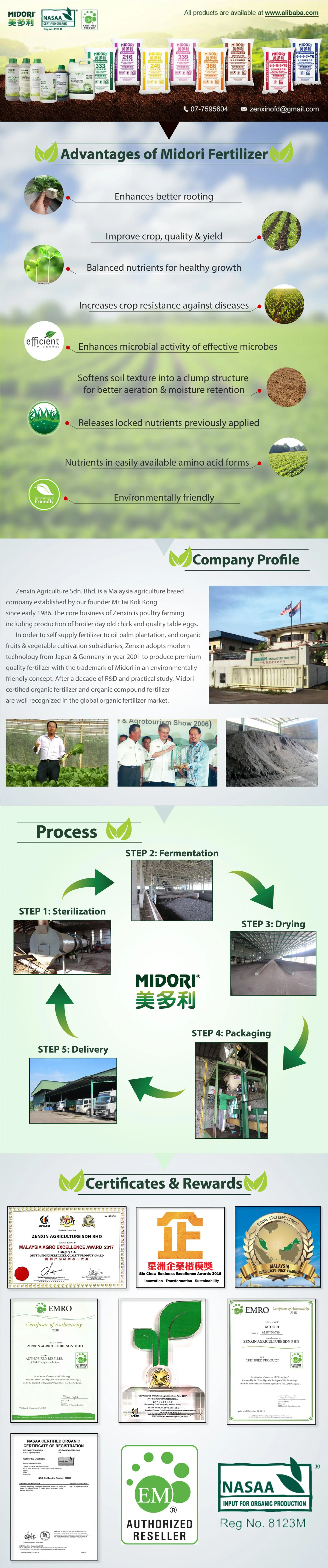 zenxin-long.jpg