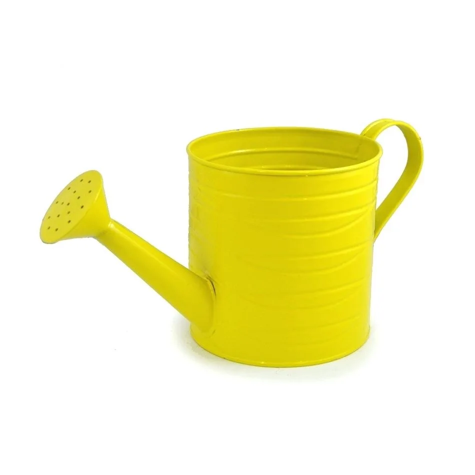Classic Gold Watering Can For Plants Buy Iron Watering Cans