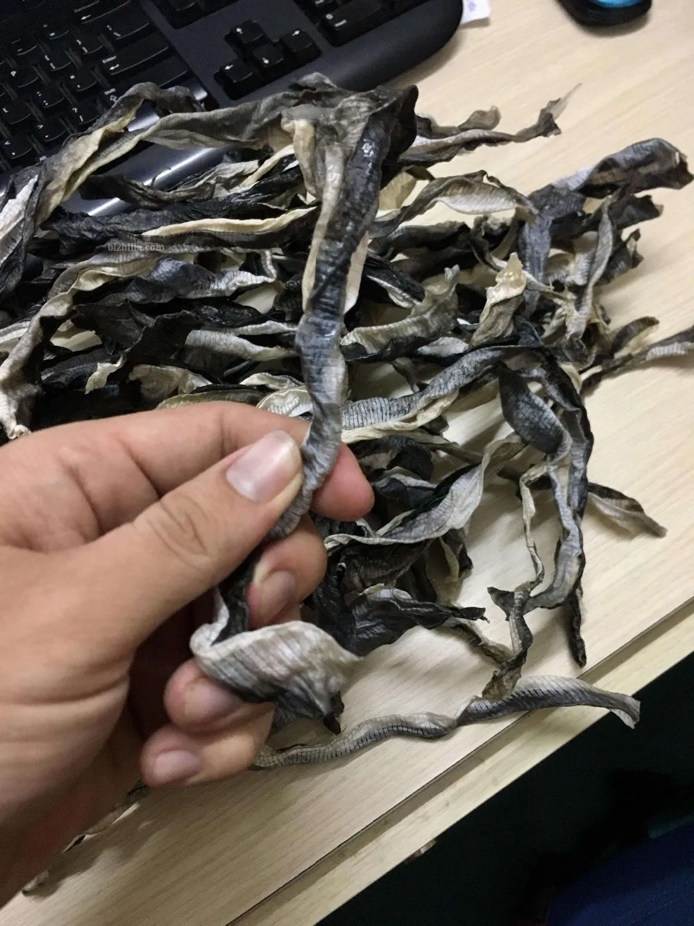 Wholesale Dried Fish Skin/ Frozen Fish Skin For Collagen Industry