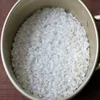 Medium White Rice (Egyptian short grain Rice) - Viber/Whatsapp no.: +84905610550
