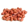 Buy Java Bold Peanut