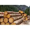 Popular Logs For Sale