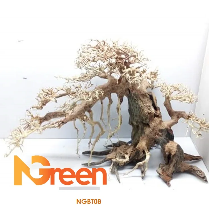 spider wood aquarium