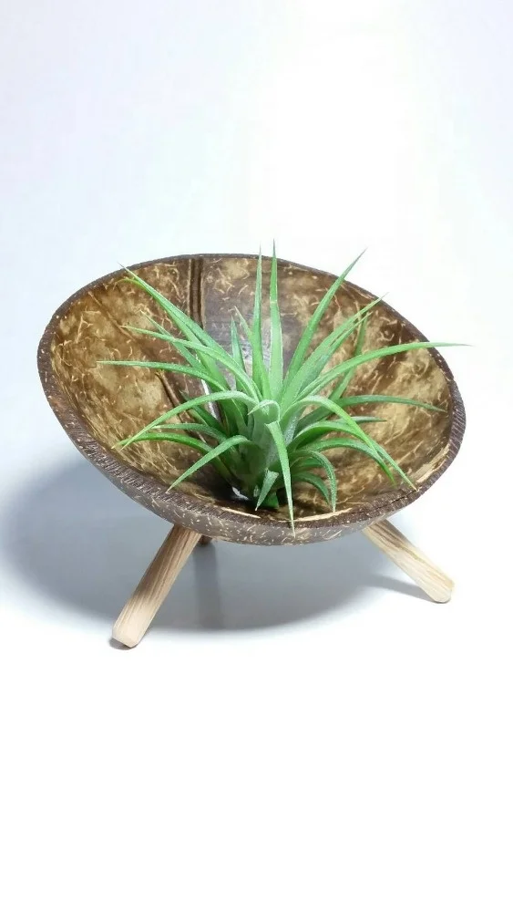 
Hallow natural wood decoration vase pot planter 