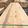oak timber latvia