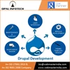 Open Source Drupal Web Development Company In USA.