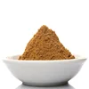 indian garam masala powder / indian wholesale masala and spices