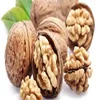 quality whole walnut in shell,walnut kernels