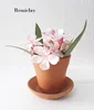 Mini Kitchen Garden Pot made in 100 % Clay Fancy and designer Ceramic Planting pot