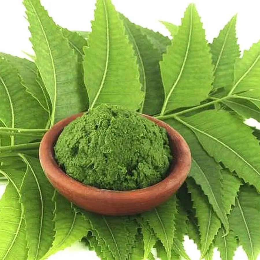 Image result for neem leaves,nari