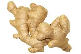 
High quality Organic fresh ginger cheap price best quality 