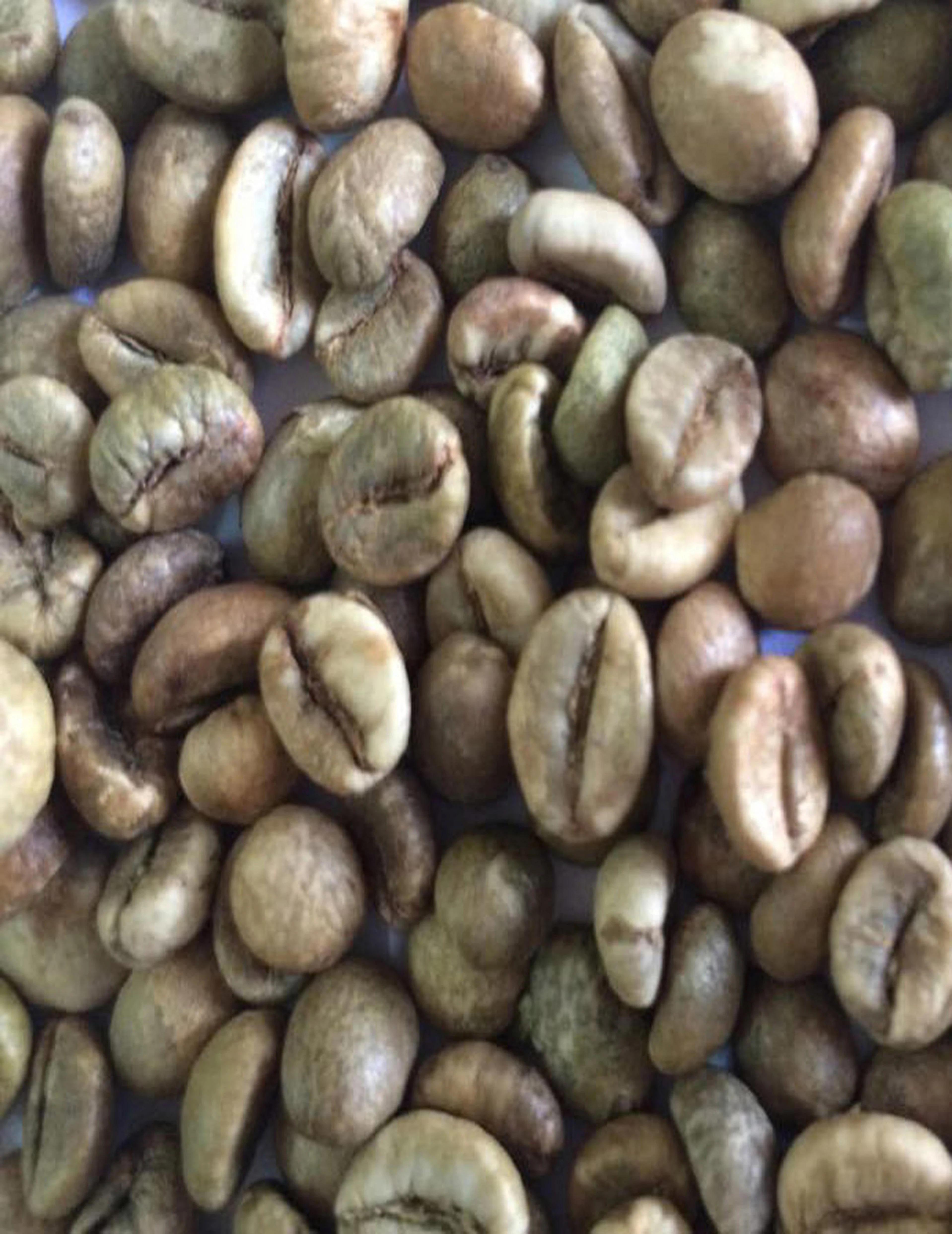 
VIETNAM ROBUSTA COFFEE BEANS SCR#18 