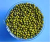 Green mung beans and Red Vigna Bean