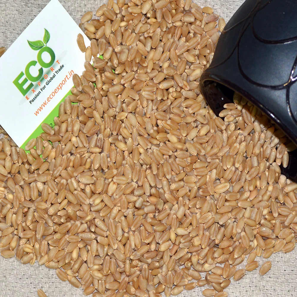 russian по низкой цене! russian с фотографиями, картинки на цельного ...