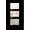 250x375 New in trend Ceramic Wall Tiles Exclusive Look