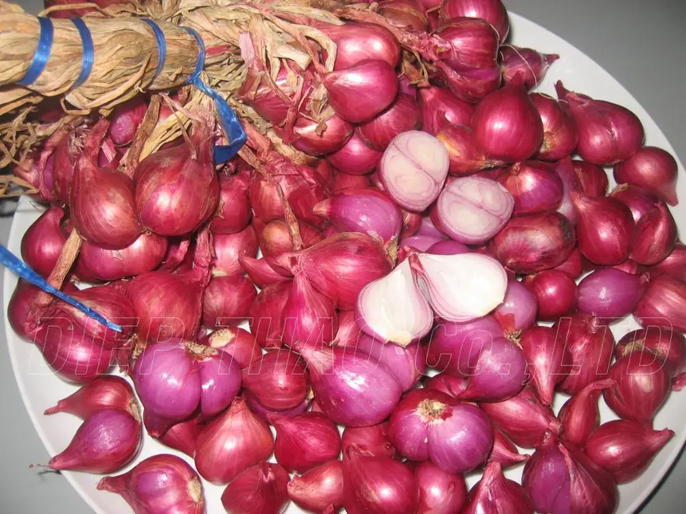 picture of our fresh red onion/ fresh shallot