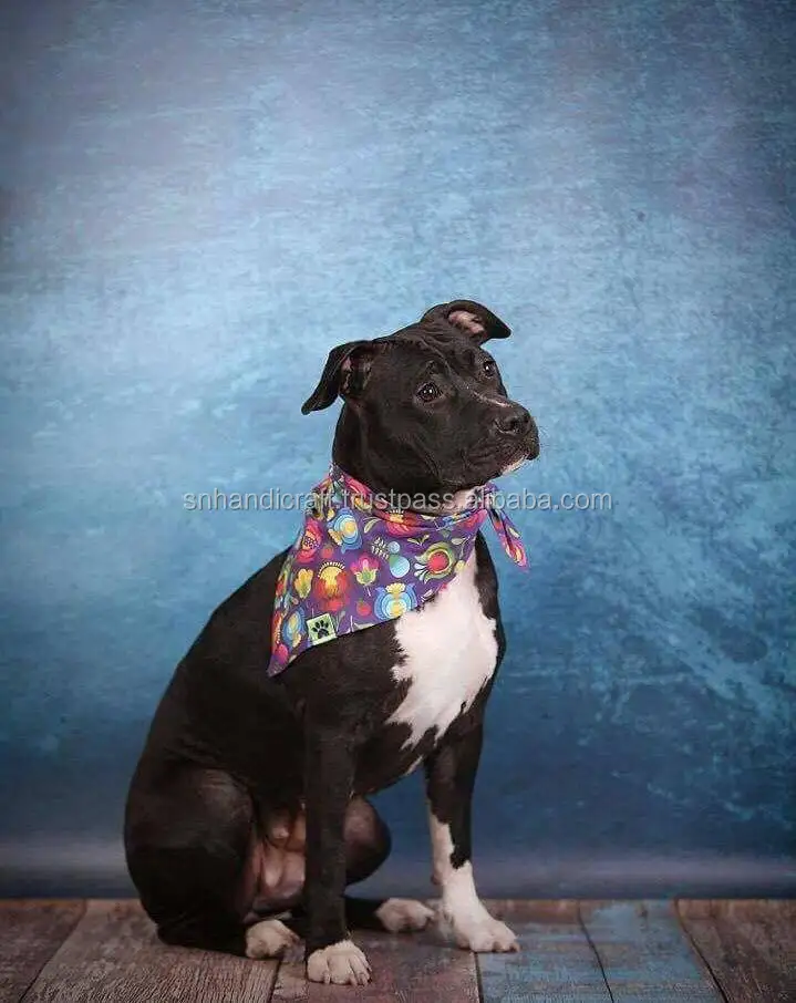 floral dog bandana