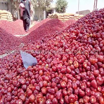 
Red Chili Dundicut Whole Round Stemless 