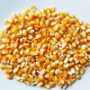 VARIOUS KINDS OF ANIMAL FEED AT CHEAP PRICE/ QUALITY SOYBEAN MEAL 65% PROTEIN FOR ANIMAL FEED/ PURE CORN GLUTEN MEAL ANIMAL FEED