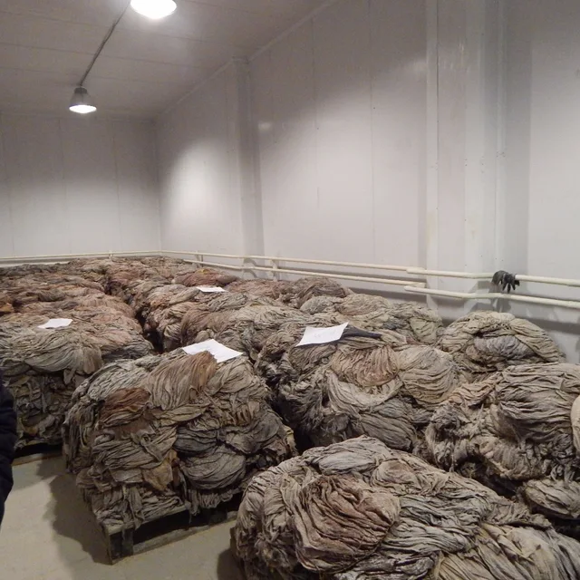 raw green tripe for sale