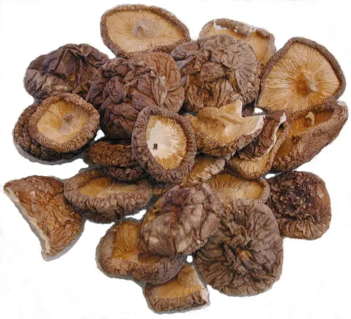 high quality dried straw mushroom in vietnam
