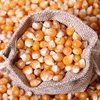 Factory Direct Cheap Maize for Sale