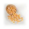Indian Yellow Maize For Animal Feed