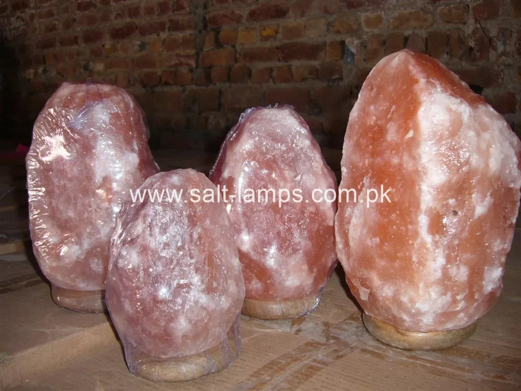 P1010304 (Large) (Copy)