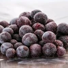 Frozen Fruits Price Frozen Blueberry IQF Blueberry