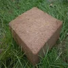 coco peat growing media