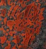 Lapidary Agatized Gem Dinosaur Bone