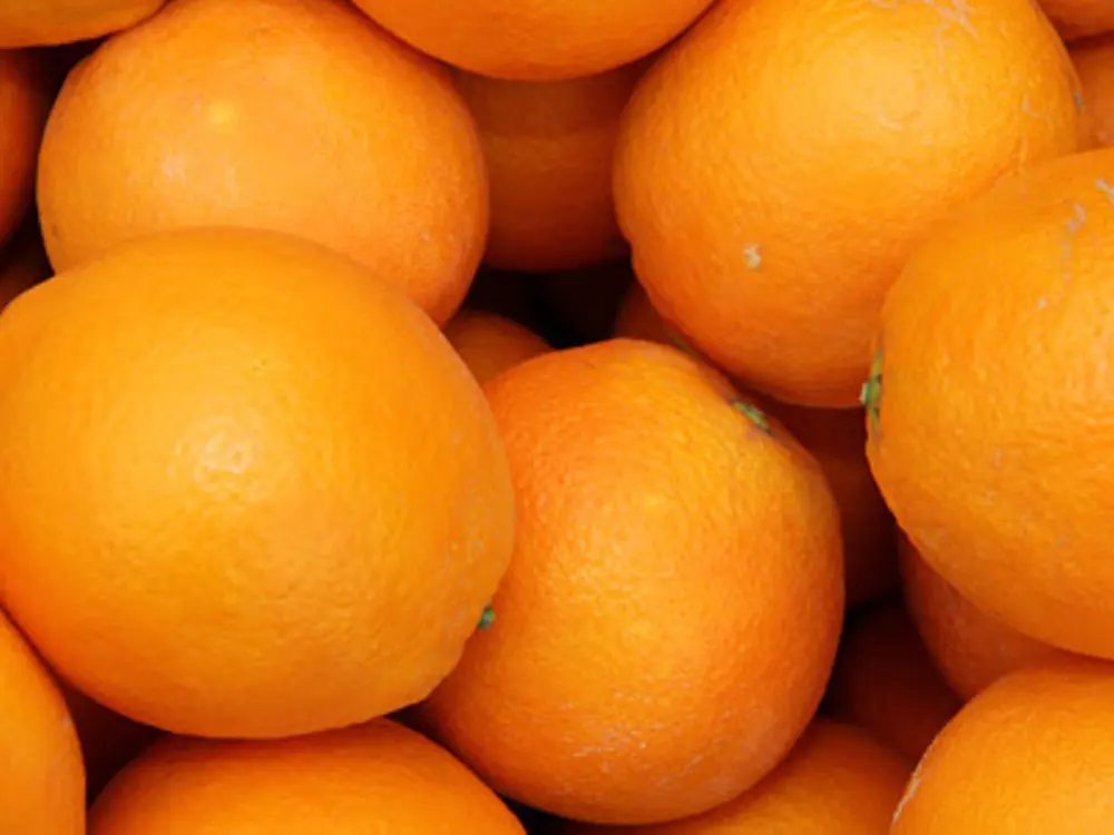 fresh valencia orange for sale,fresh naval orange