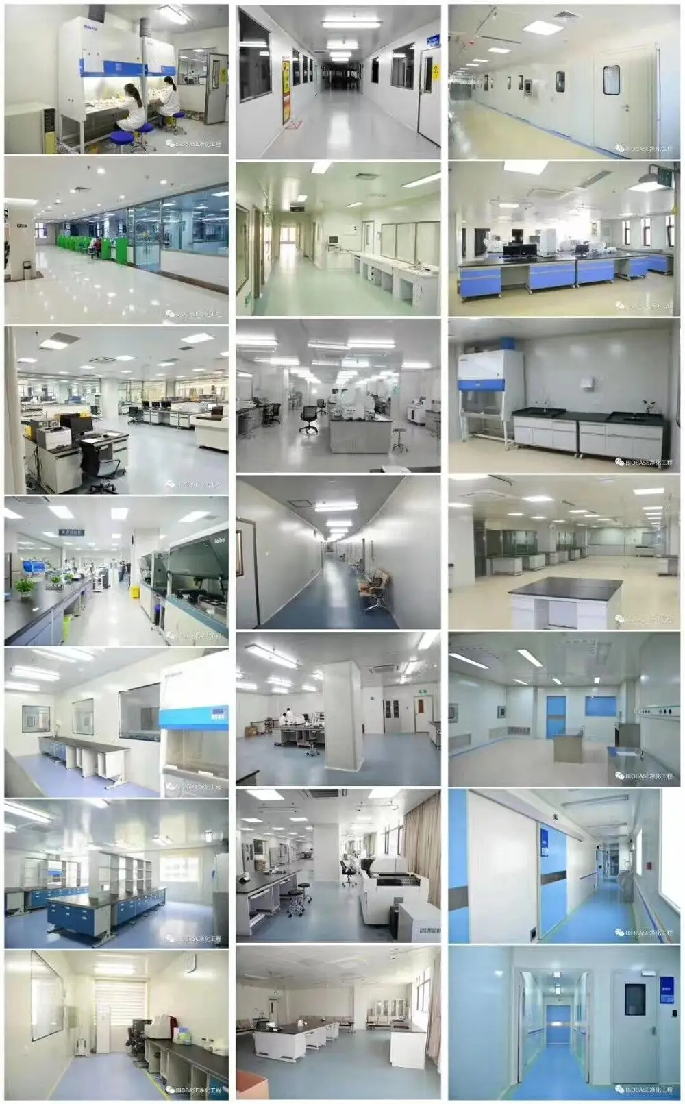 BDV1S Basic type Speed & Digital Rotary brookfield / paint