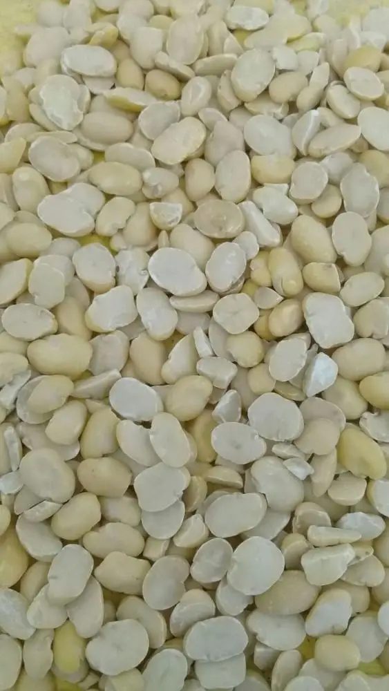
SPLIT FAVA BEANS 