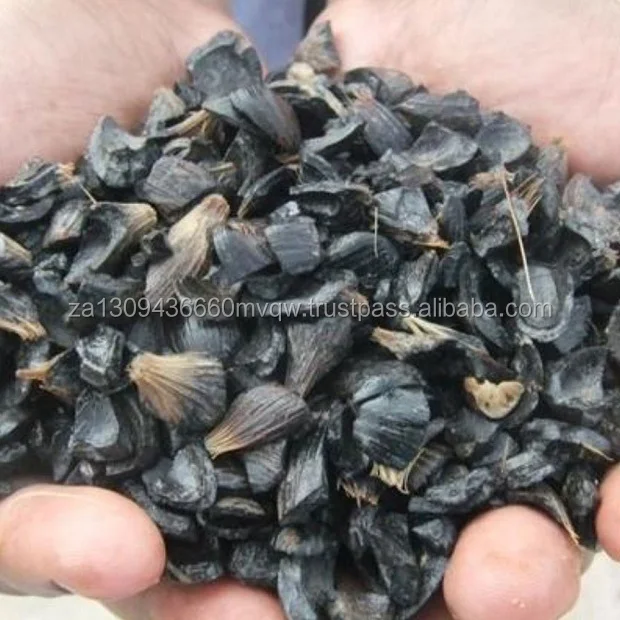 palm kernel shell 3.jpg