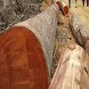 Wood Logs , Buy Direct Oak Firewood / Woodlogs Cleaved