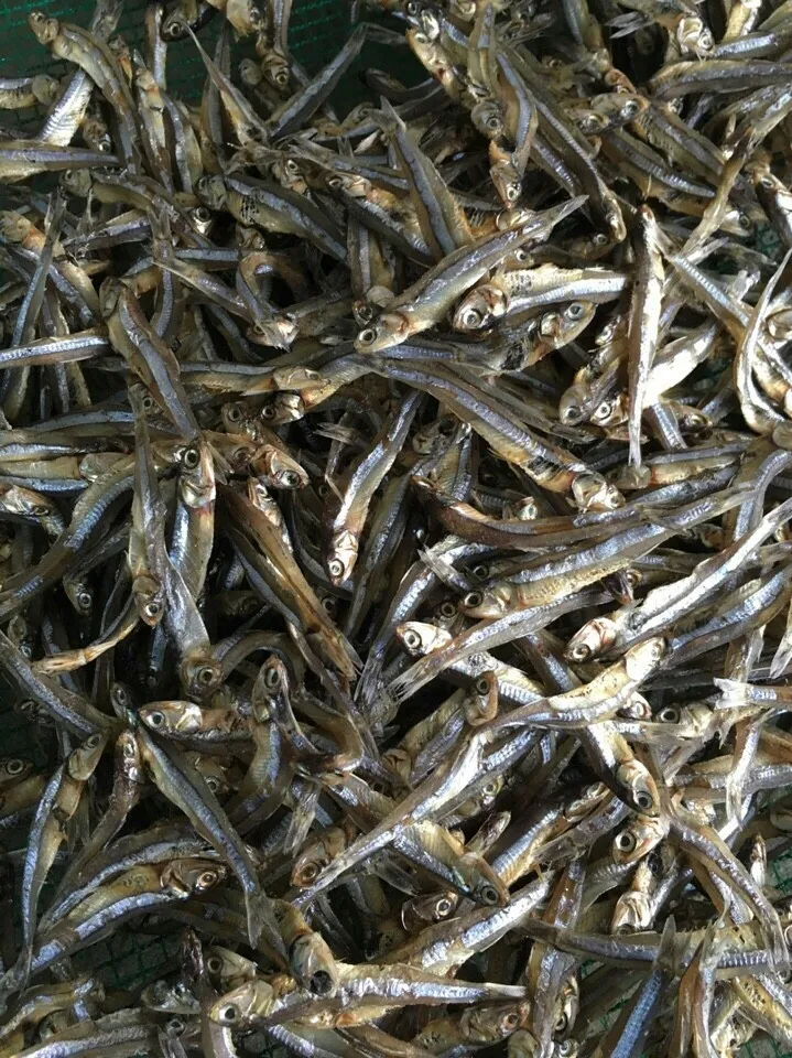 dried anchovy size 5-7cm