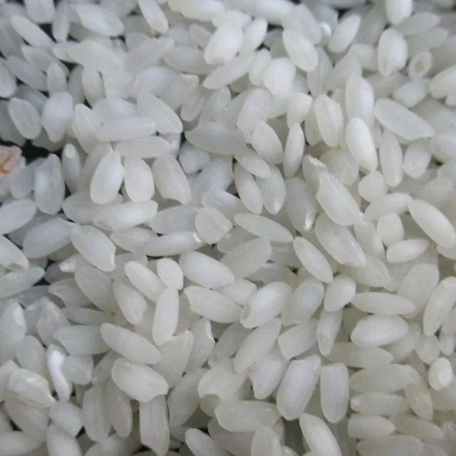 Grain rounds. Рис круглый зерно. Рис белый круглый. Белое зерно. Белые круглые зерна.