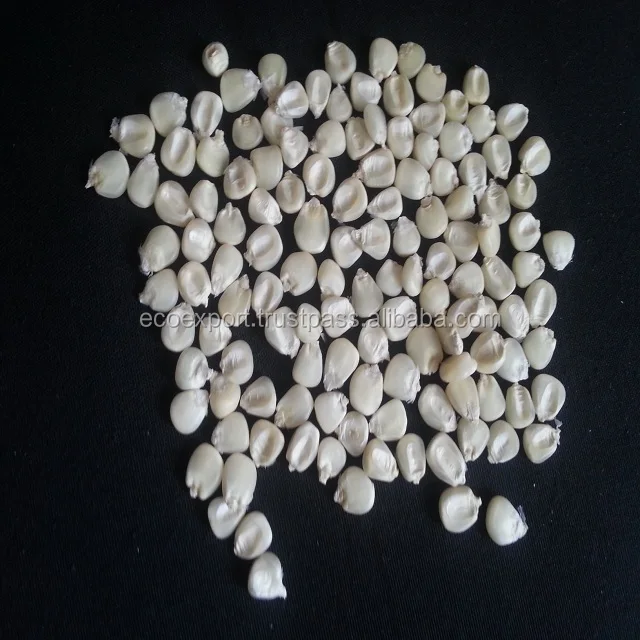 
Desi Maize 