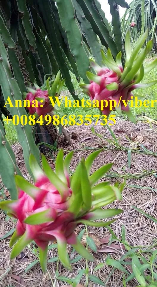 9e846c5f7d449c1ac555.jpg