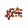 Quality Grade Agricultural Product Red Maize Corn Supplier