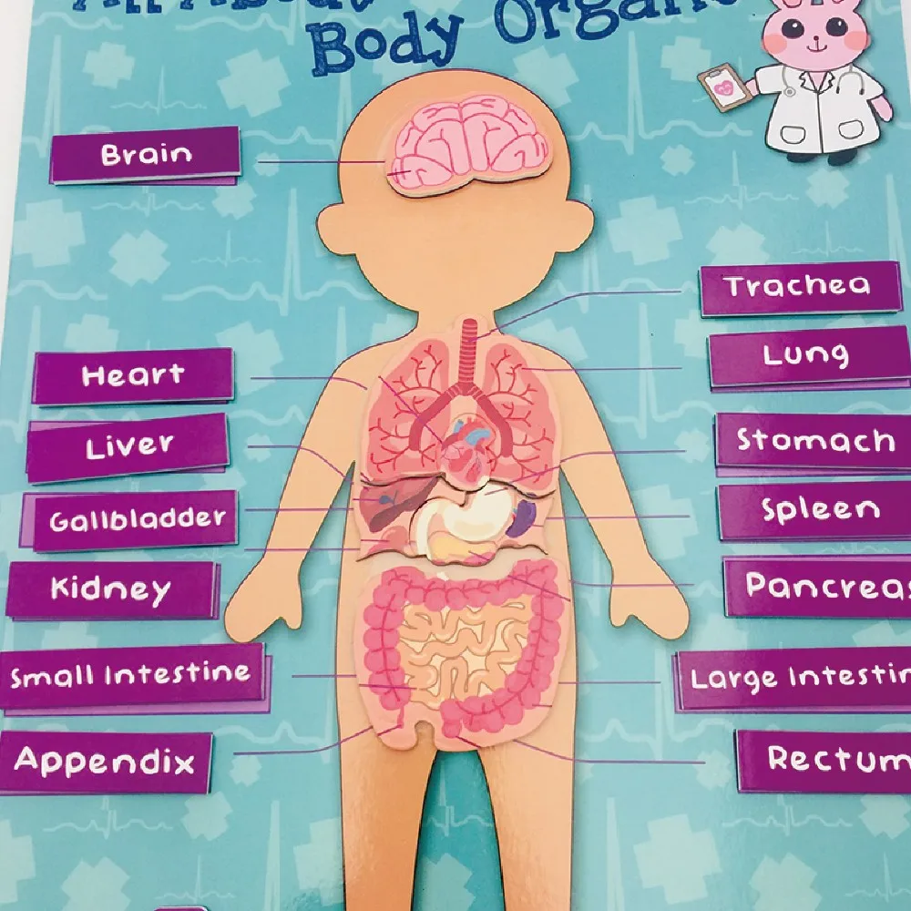 2019 oem new design blue wall hanging educational