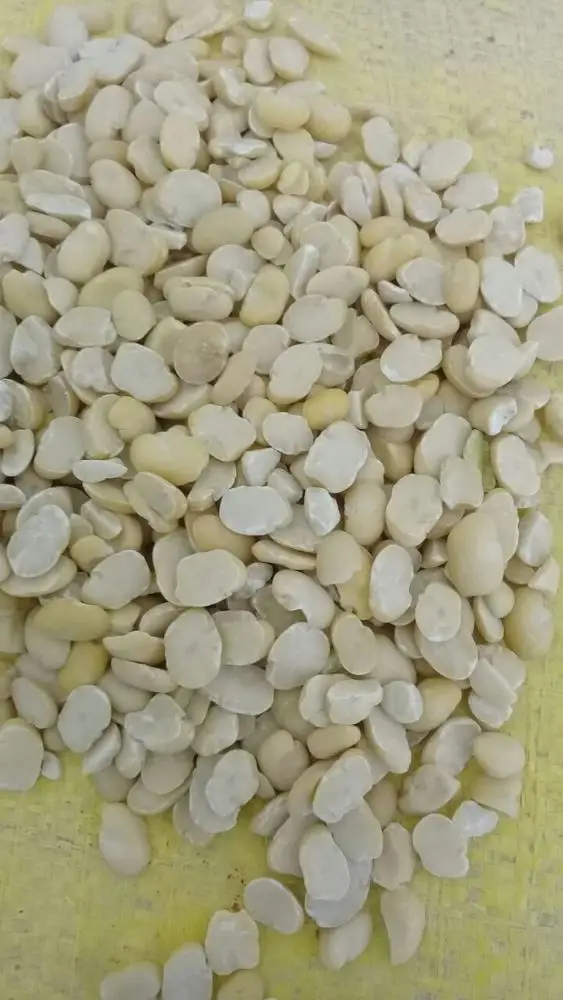 
SPLIT FAVA BEANS 
