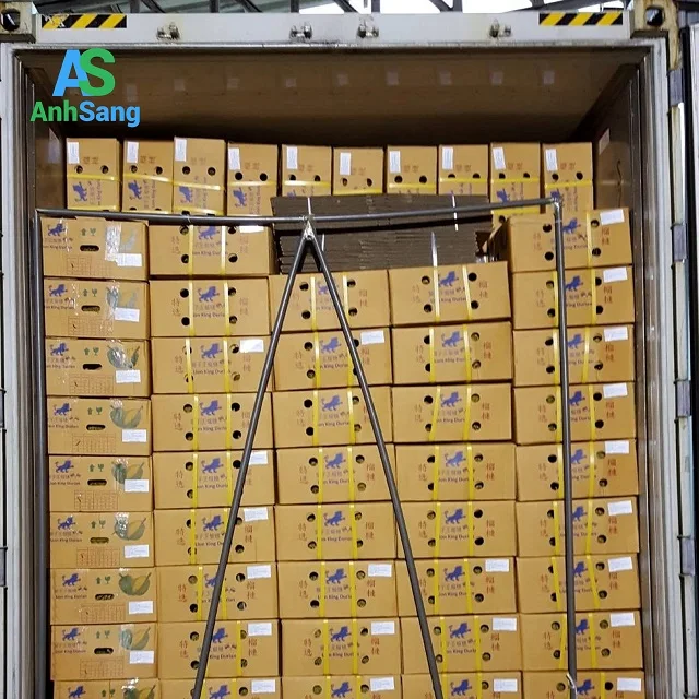 
Fresh durian in the fruit kingdom of Tien Giang 