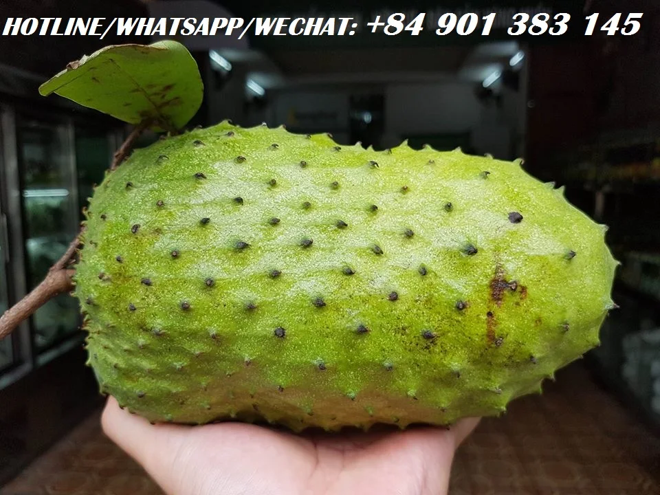 Fresh Soursop Fruit Graviola Fruit Frozen Soursop Pulp Buy