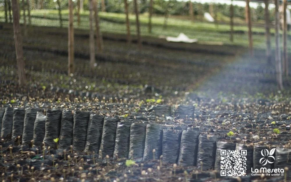 
PRODUCT OF COLOMBIA COLOMBIAN COFFEE BEANS 