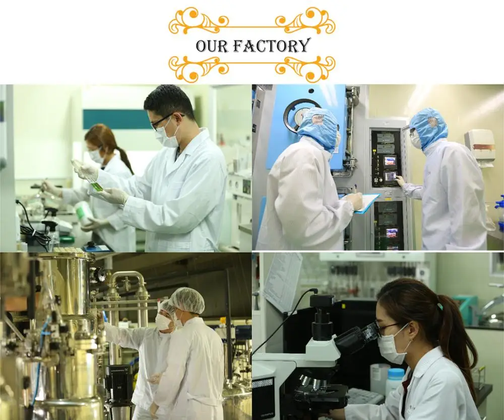 our factory.jpg