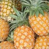 PINEAPPLES FRUIT