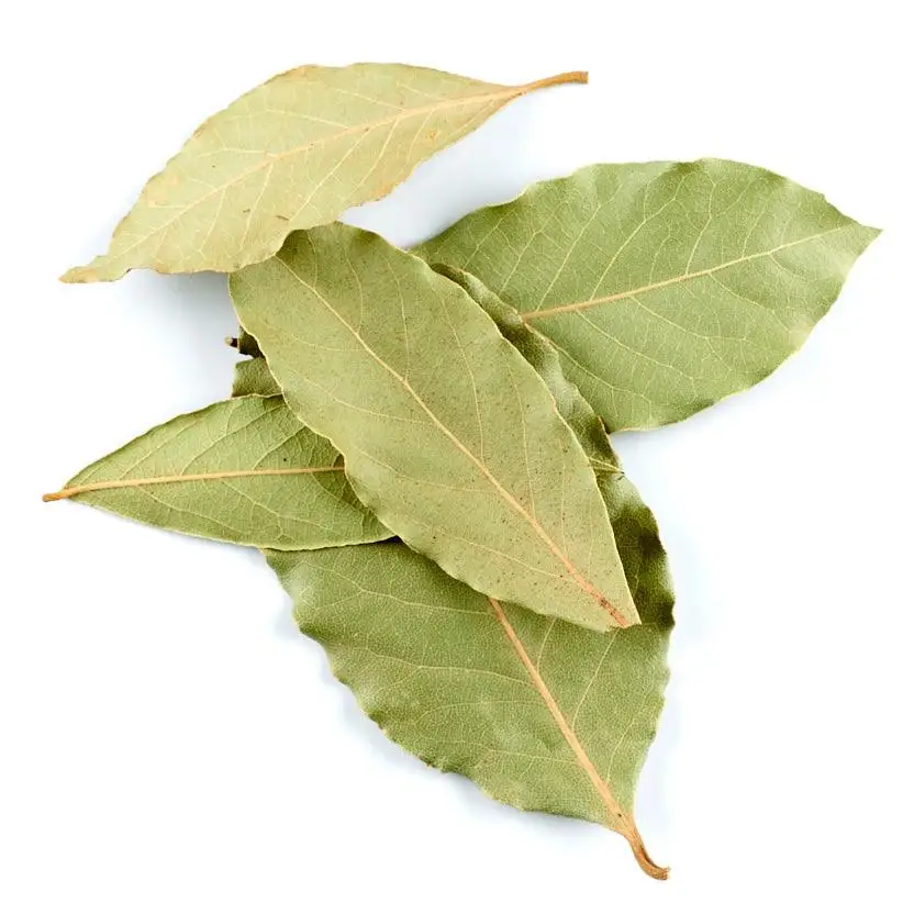 Bay Leaf Price Buy Bay Leaf Price,Bay Leaf Production,Bay Leaf Extract Product on